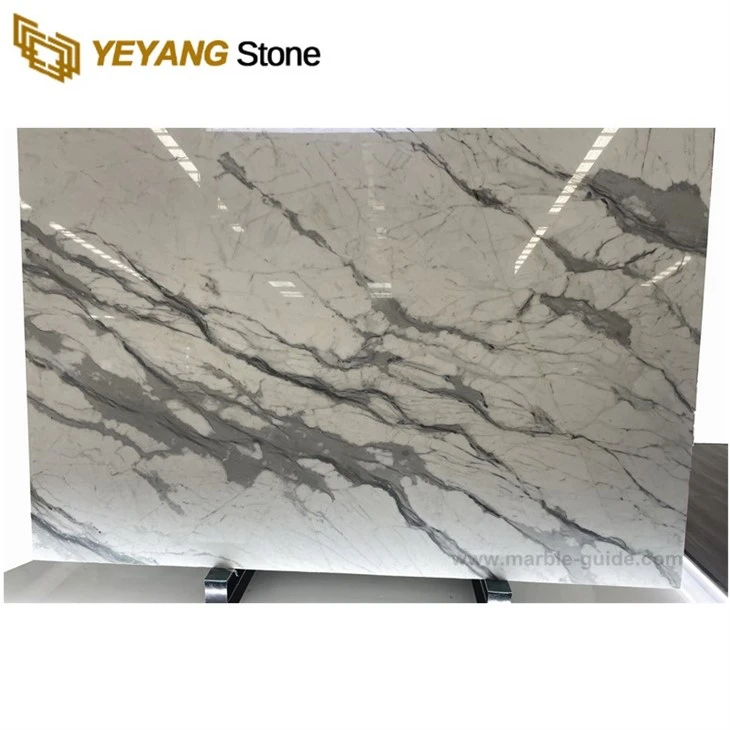 China Natural White Calacatta Marble For Meeting Big Tables